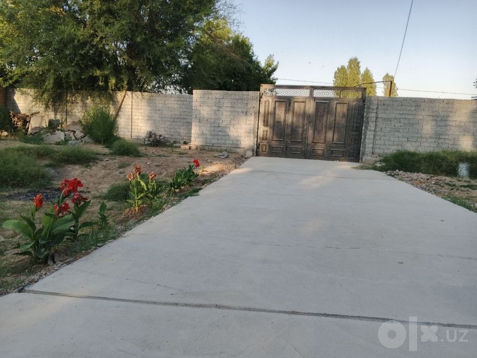 Уртасаройда ховли 8 сотых