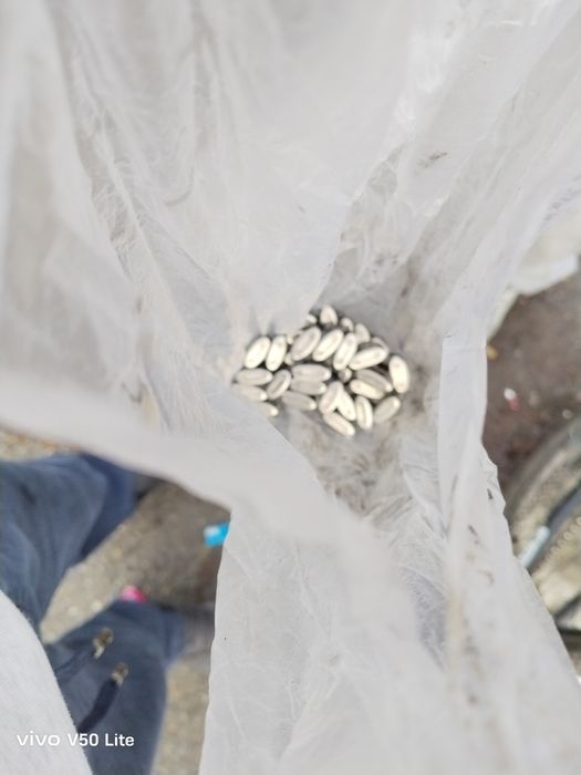 Велосипед PHOEQN