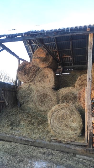 De vânzare baloți de fân