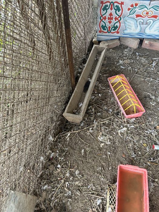 Кормушки для кур и цыплят