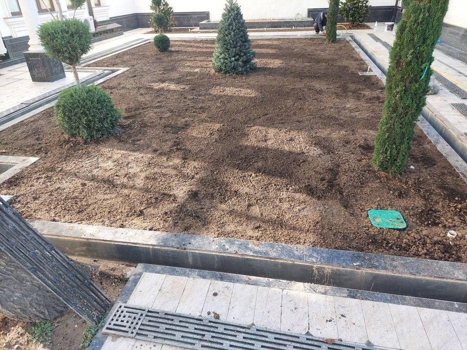 Газон разнога вида