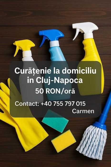 Curățenie la domiciliu