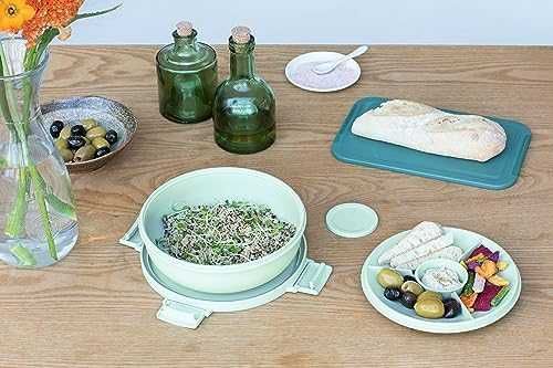 Нова Мултифункционална Купа 1.3L Brabantia - За Свежи Салати кухня готвене