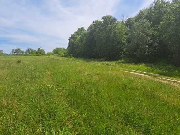 Продава се Парцел в Бяла - 8600 кв.м за 71 €/кв.м - Снимка #1