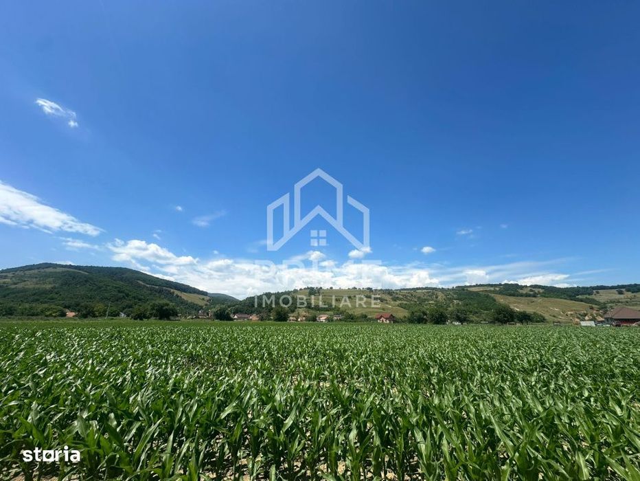 Teren Intravilan 6.200 mp| acces direct la raul Mures| zona Vurpar