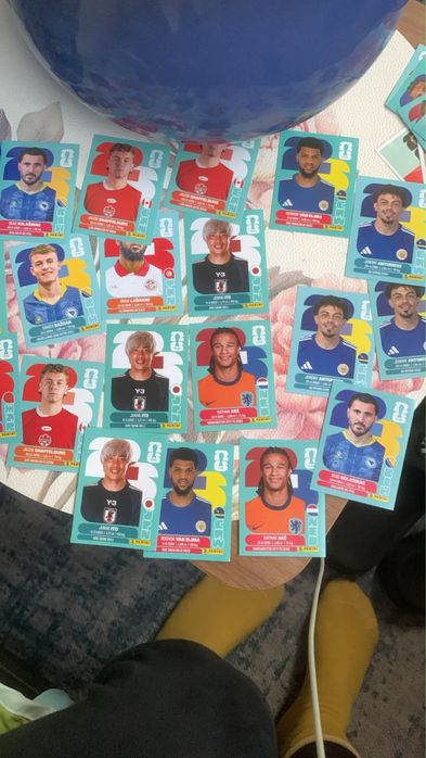 Stickere panini