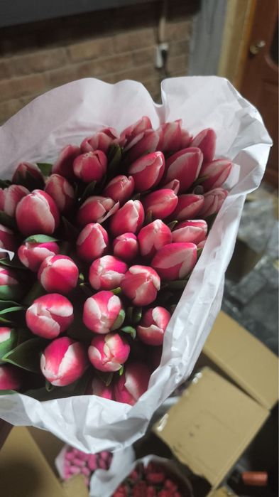 Продам Тюльпаны Алмата