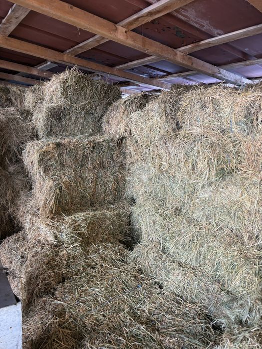 VAND baloti lucerna,fan si coceni,FOARTE BINE PASTRATI