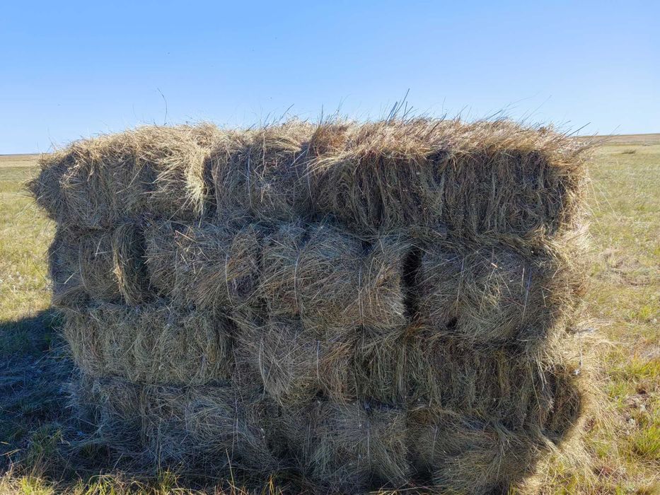 Продам сено в тюках