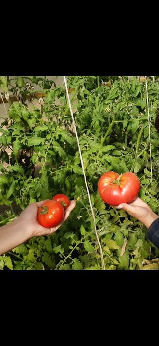 Перегной своя ферма.