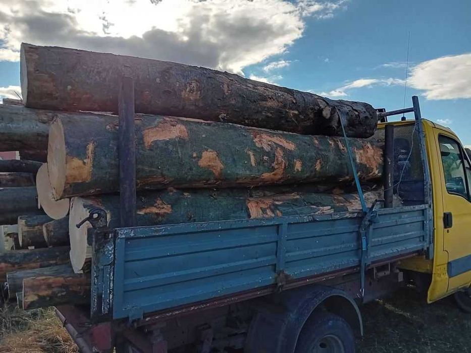 Vand lemn pentru foc de esenta tare, fag