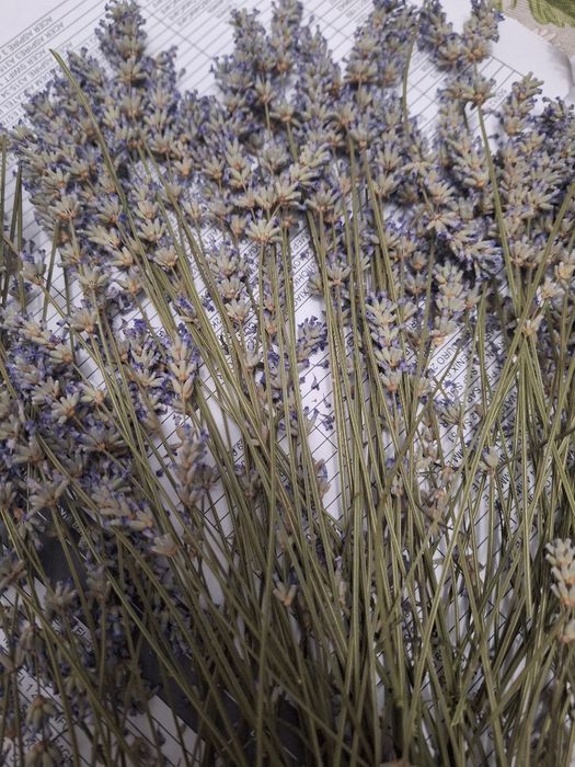 Лавандулово масло 100% чисто