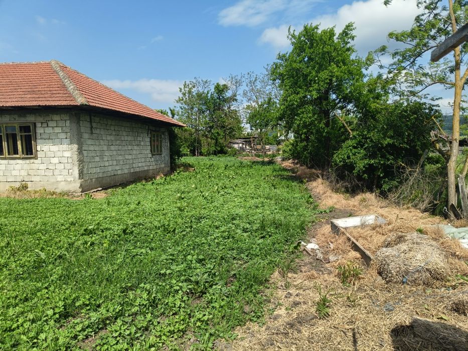 Case de vânzare,Satu Nou comuna Crețești, judetul Vaslui