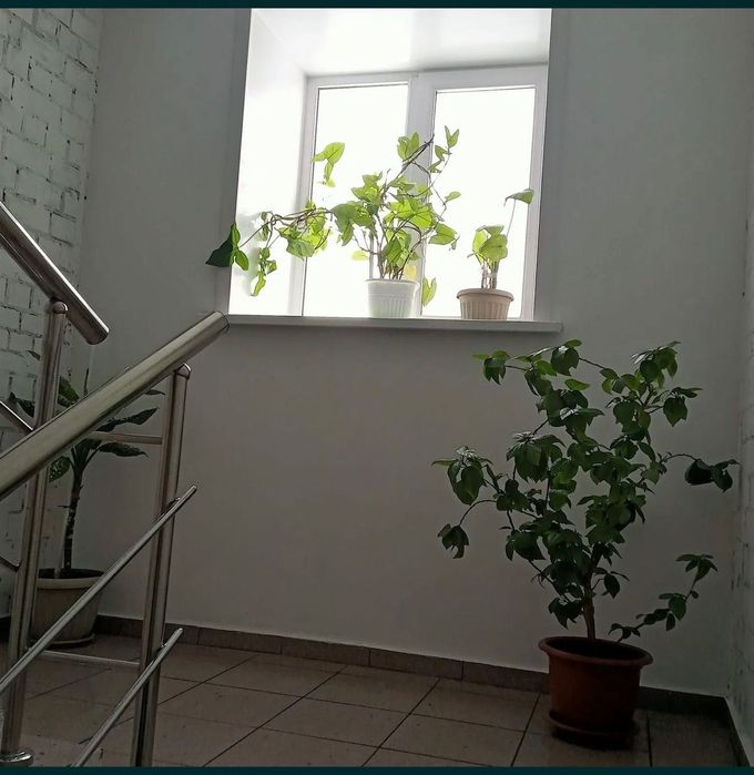 Сдаётся койка место