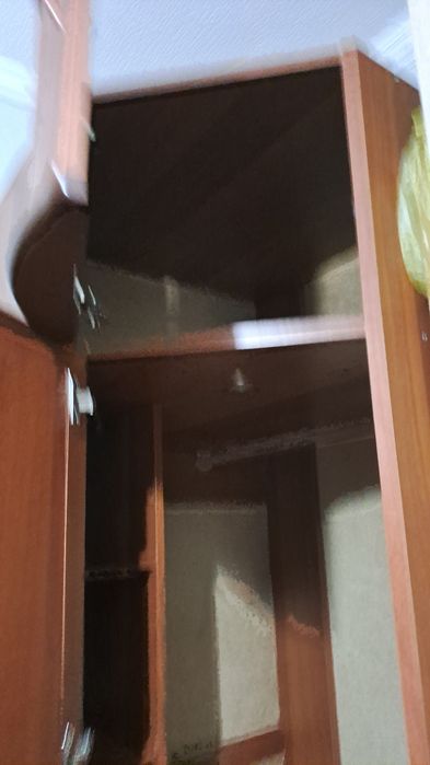 Шифанер  углавой