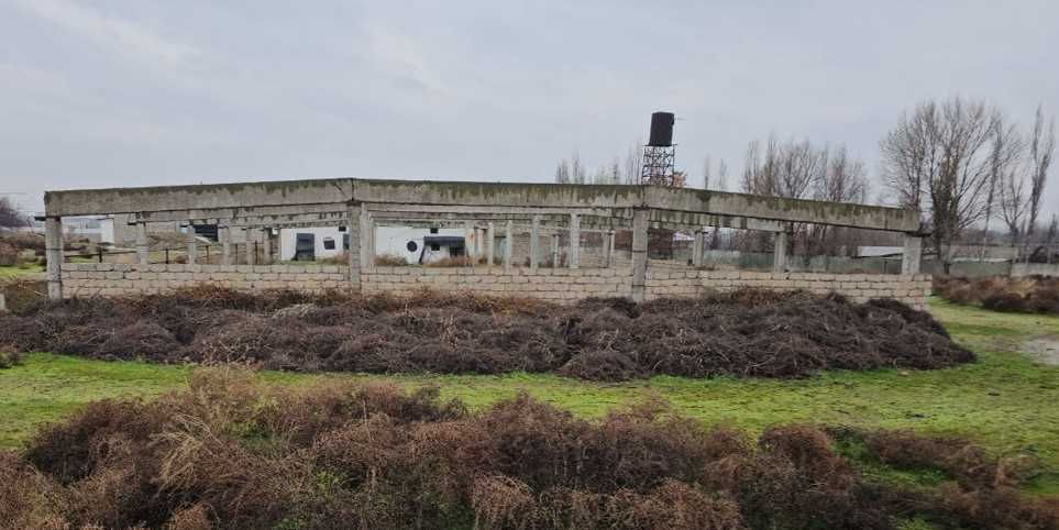 Продаётся База Ахангаран 50 сот 1 линия и База  Тойтепа 4,7 га