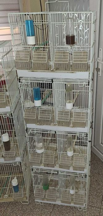 Vand colivii pasari .