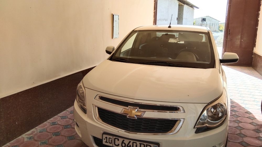 Karochi moshna yengi