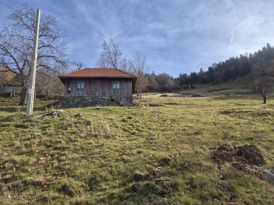 Teren de vanzare 6.5 hectare tranisu Cluj