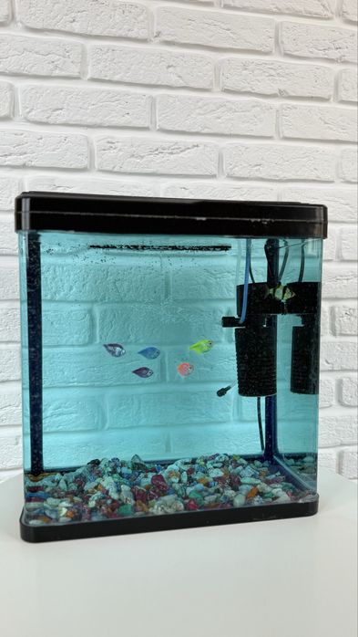 Аквариум с рыбками