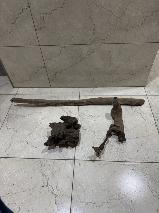 Karyaga sotiladi akvarium uchun