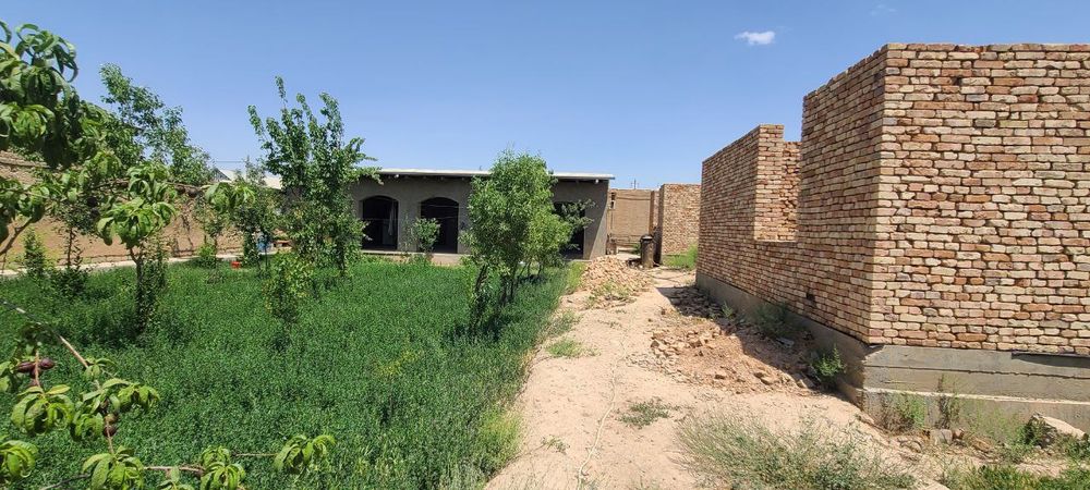 12 soʻtix uchastka sotiladi