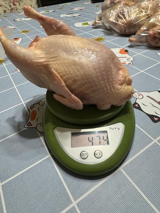 Продам мясо перепелов