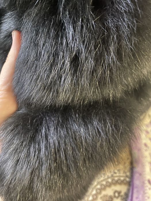 Naturalka Chorniy brilliant