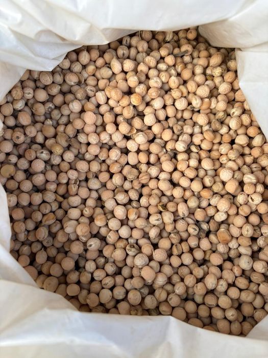 Зерноотходы.Сечка.Платный чат! Корма.