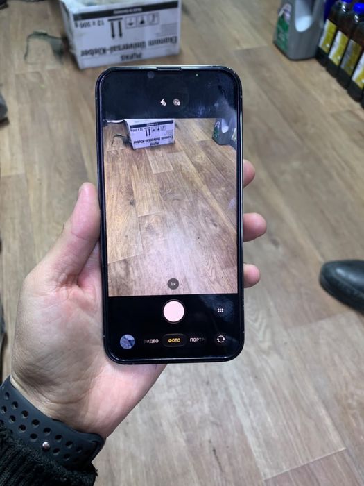 iPhone 13 Pro Max