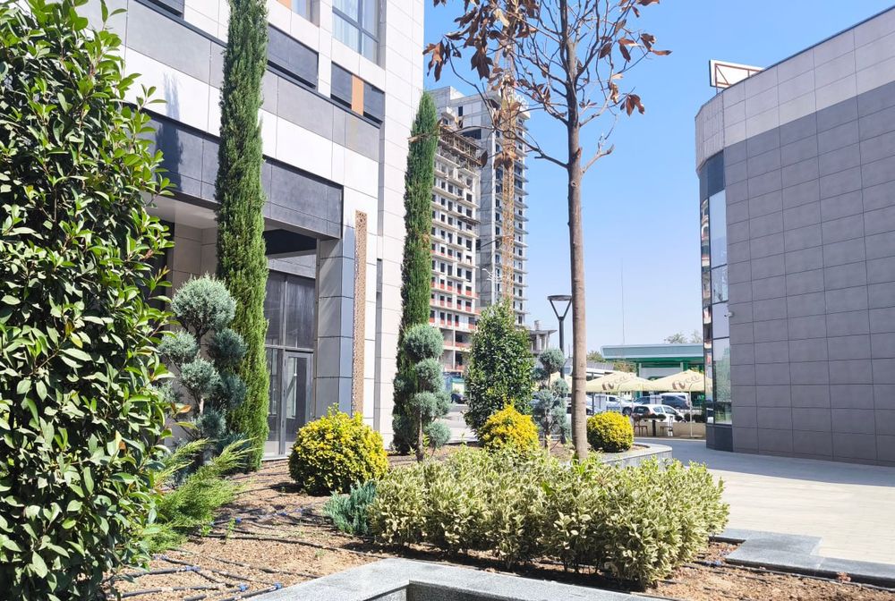 Аренда помещения 93 м2 в новом БЦ на Махтумкули (ТЛ)