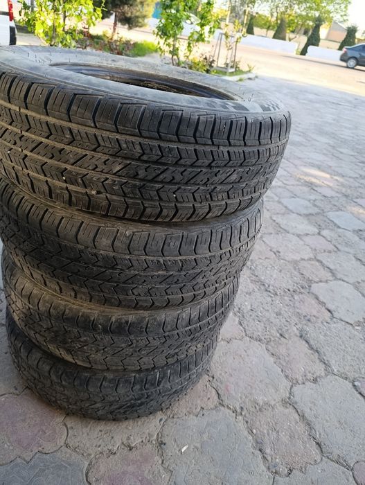 14 balon Cobalt uchun