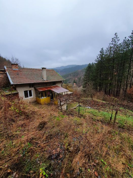 Цяла самостоятелна Къща с двор в с. Луково