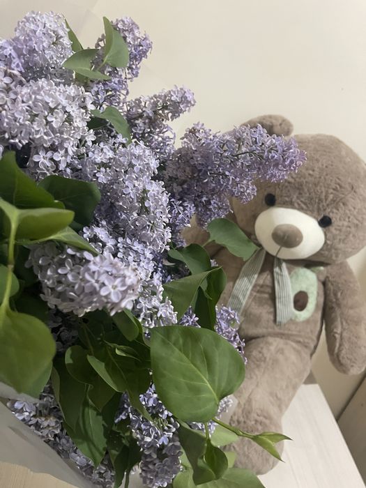 Мишка 1 метр нови