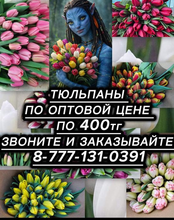 Тюльпаны по оптовой цене в розницу.