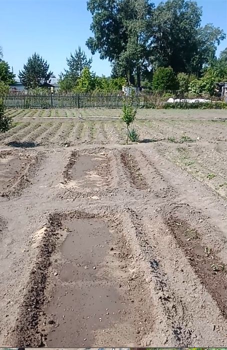 Продам 2 дачи на массиве «Солнечная долина»