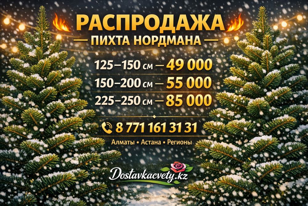 Пихта нордмана доставка