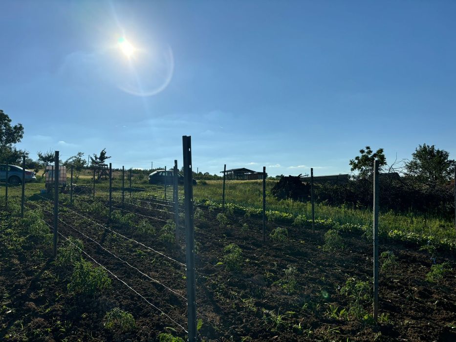 Vând stâlpi/spalieri aprope noi