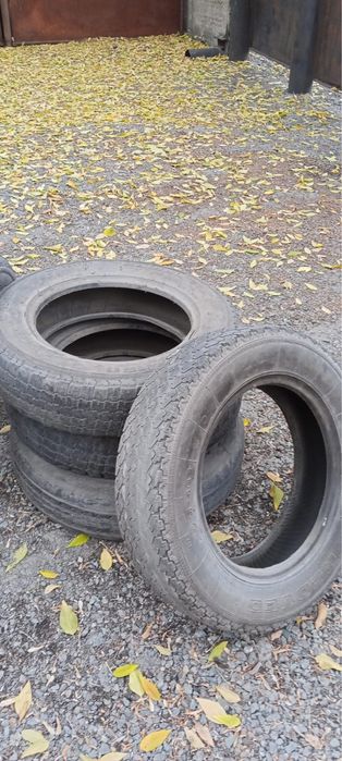 На газель, за все 10000 тысяч