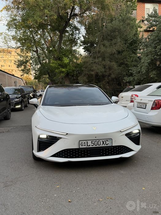 Neta s gibrit xolati a’lo