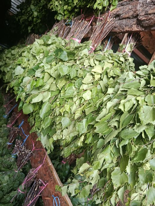 Продам банные веники