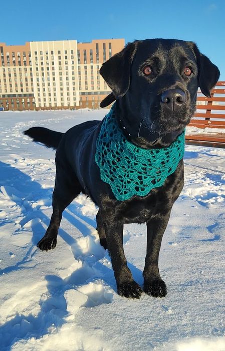 Шикарные косынки ручной работы