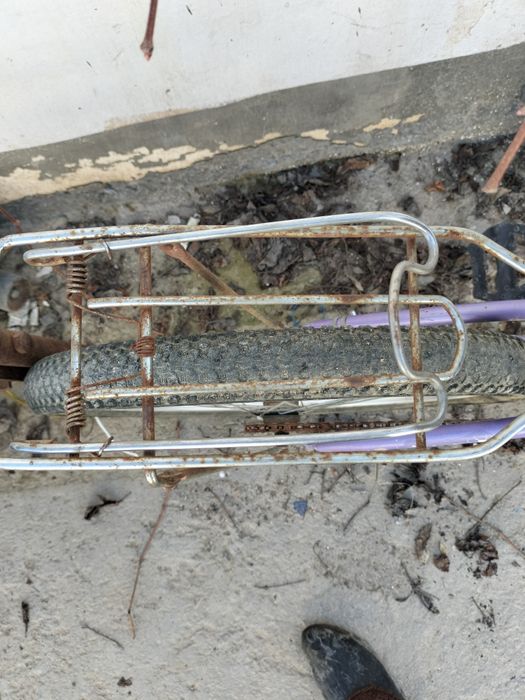 Велик сатлады арзан бағада