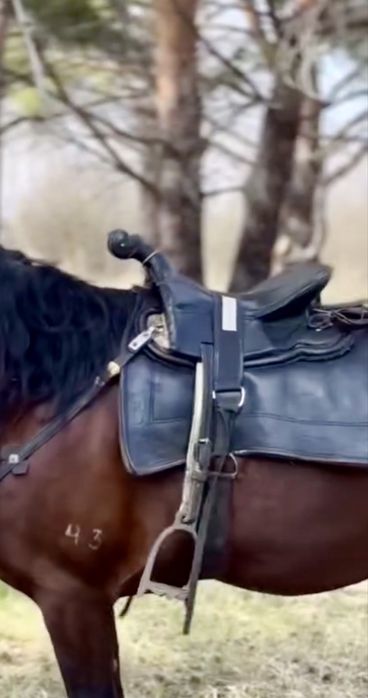 Ер тоқым, ер токым, седло