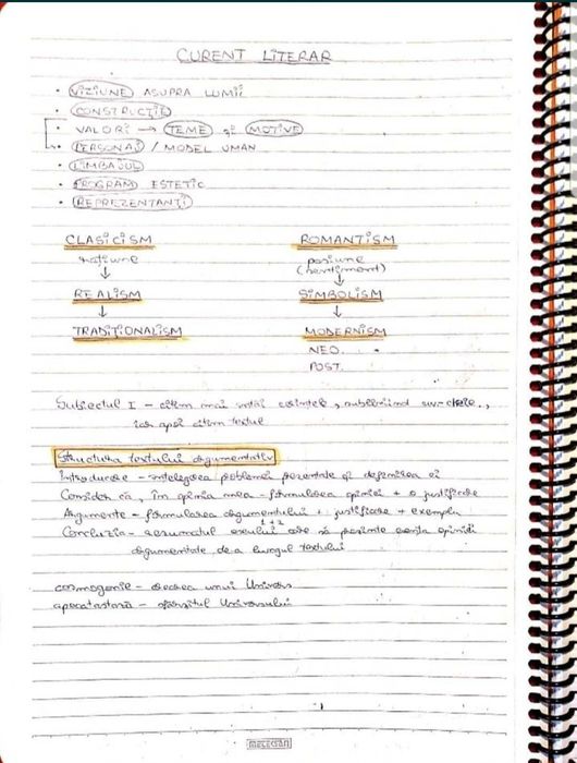 Caiet meditatii romana BAC de 10