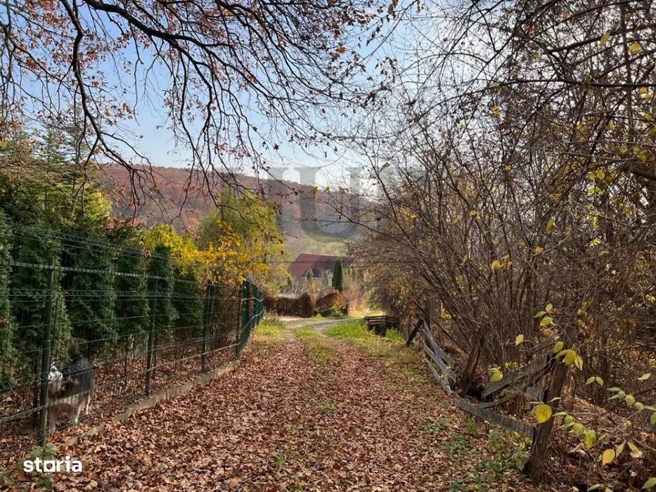 Teren 1095Mp -Podis -Dn 2G- Bacau -Moinesti