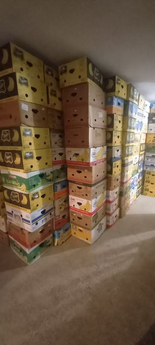 Кашони  за съхранение.