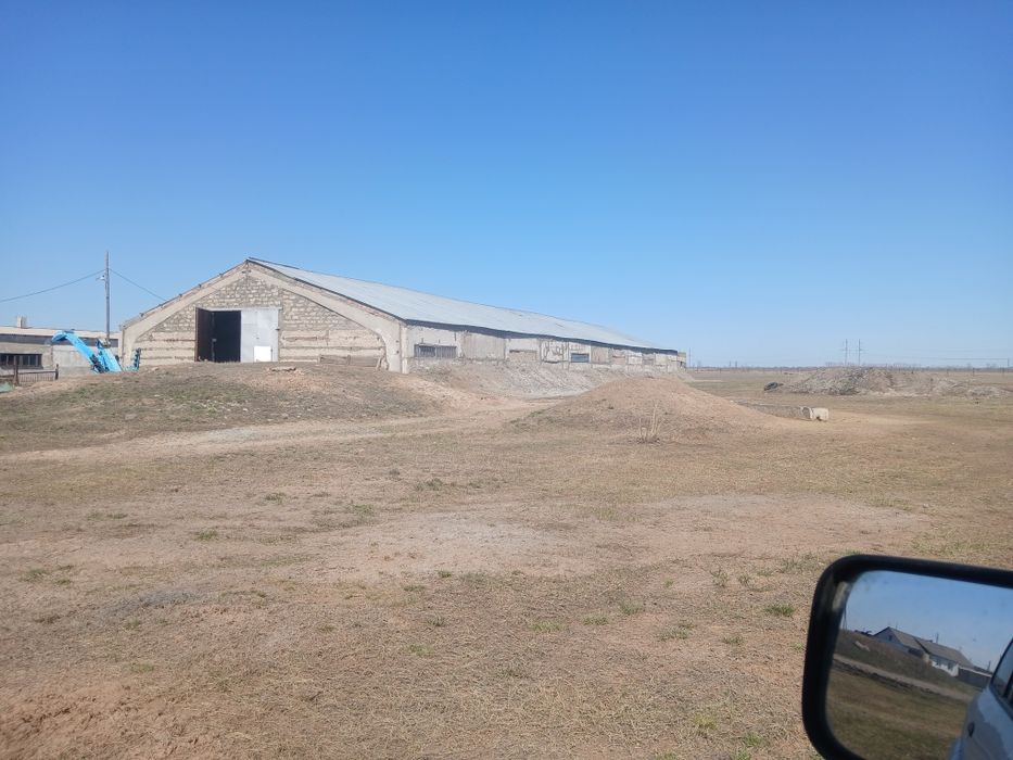 Откорм база хозяйство