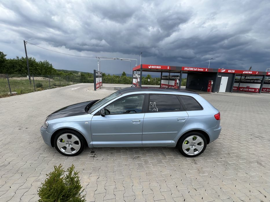 Vand Audi A3 8P 2.0