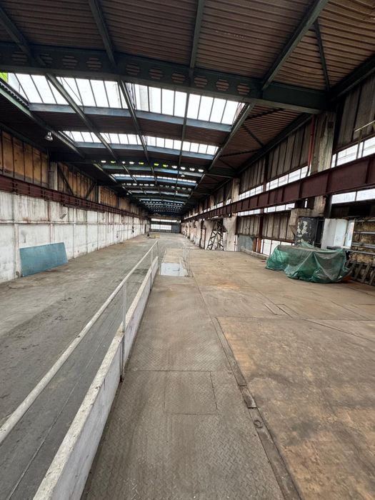 Hala de vanzare sau inchiriere in Filipesti de Padure.